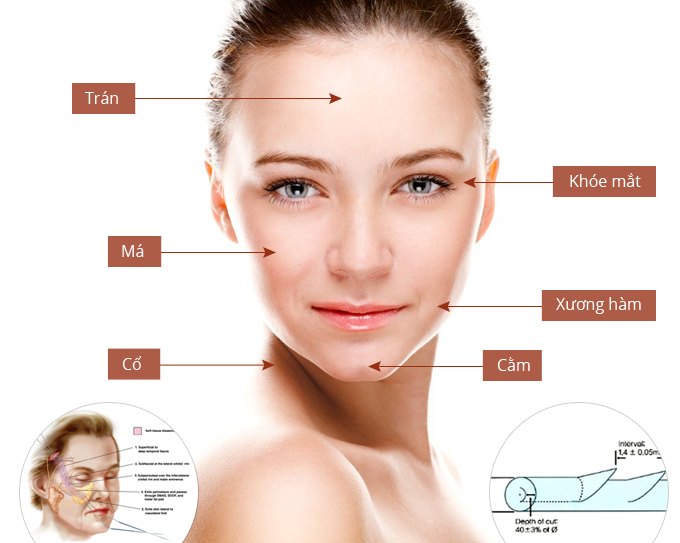 Dấu hiệu lão hóa thường xuất hiện ở phụ nữ khi bước sang tuổi 30 Dấu hiệu lão hóa thường xuất hiện ở phụ nữ khi bước sang tuổi 30