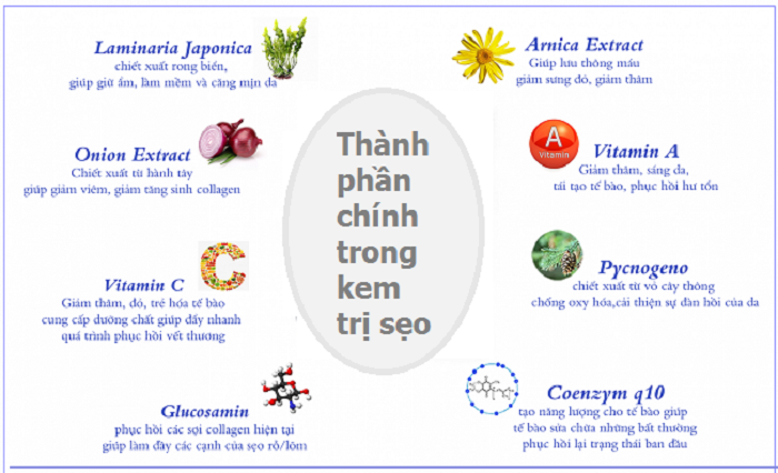 Thanh phan trong kem trị seo nen co