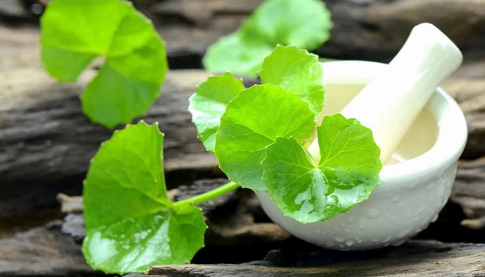 tri seo loi bang rau ma