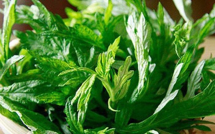 tri seo bang ngai cuu