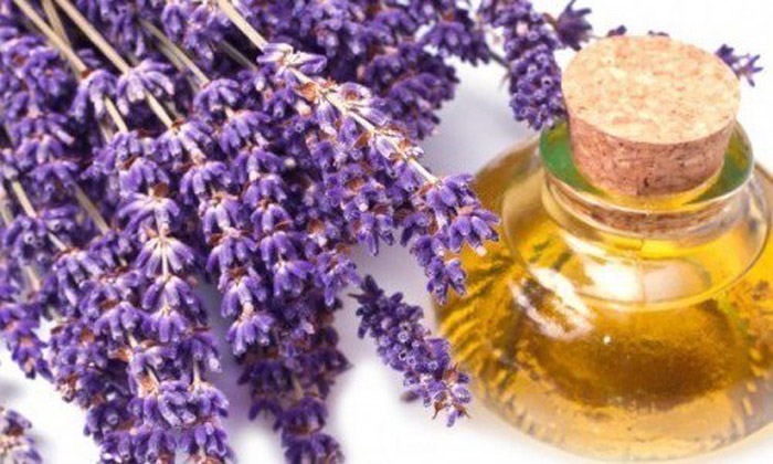 tinh dầu oải hương