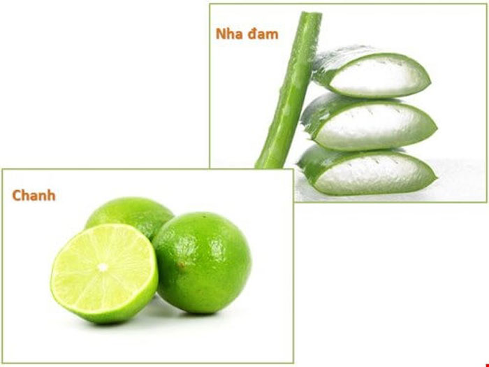 Nha đam là nguyên liệu làm mờ sẹo rất thông dụng