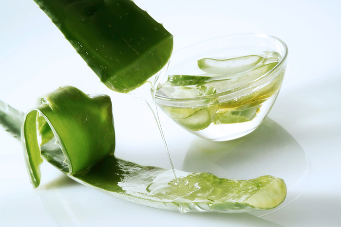 cách trị sẹo thủy đậu bằng nha đam