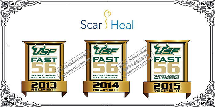 Scar Heal nhận giải USF Bull 56 trong 3 năm liên tiếp