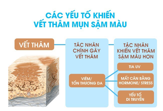 nguyen nhan hinh thanh seo tham