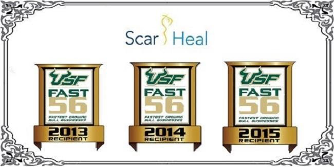 giai thuong của Scar Heal