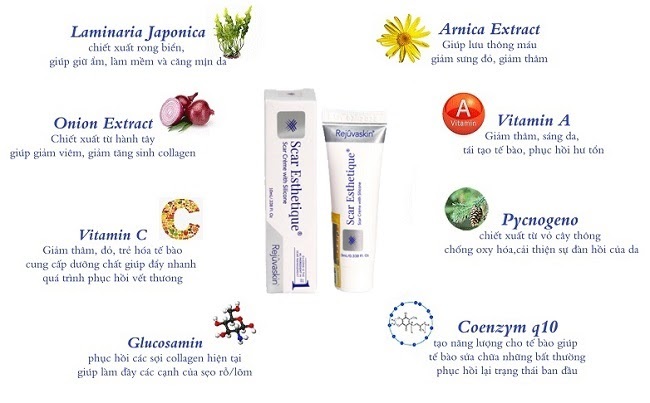 thành phần của kem làm mờ sẹo Scar Esthetique thanh phan trong kem tri seo Scar Esthetique