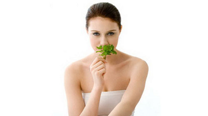 Lá bạc hà có khả năng làm mờ sẹo rỗ lâu năm do mụn để lại hiệu quả Lá bạc hà có khả năng làm mờ sẹo rỗ lâu năm do mụn để lại hiệu quả