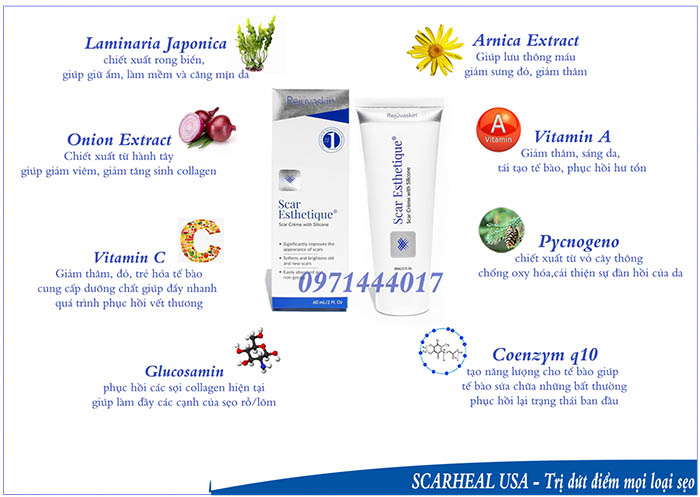 Những thành phần tự nhiên giúp loại bỏ sẹo thâm một cách nhanh chóng