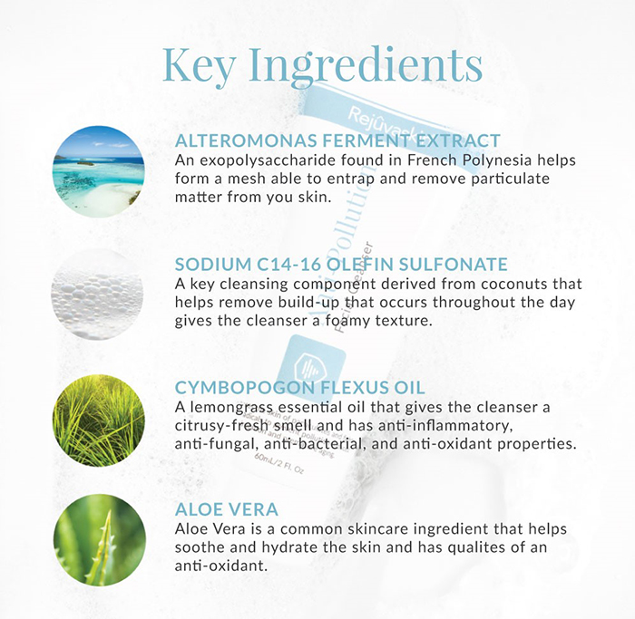 Thành phần sữa rửa mặt chống ô nhiễm Rejuvaskin  Thành phần sữa rửa mặt chống ô nhiễm Rejuvaskin