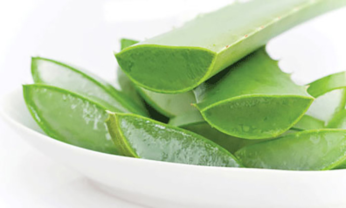 làm mờ sẹo lồi lâu năm bằng nha đam trong các cách làm mờ sẹo lồi lâu năm hiệu quả bằng phương pháp đơn giản