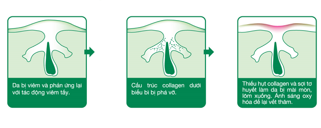 co che hinh thanh seo tham
