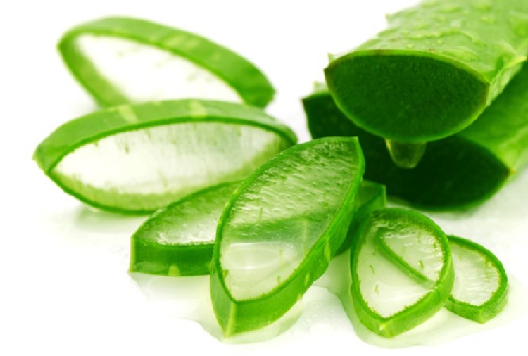 tri ran da bang nha dam