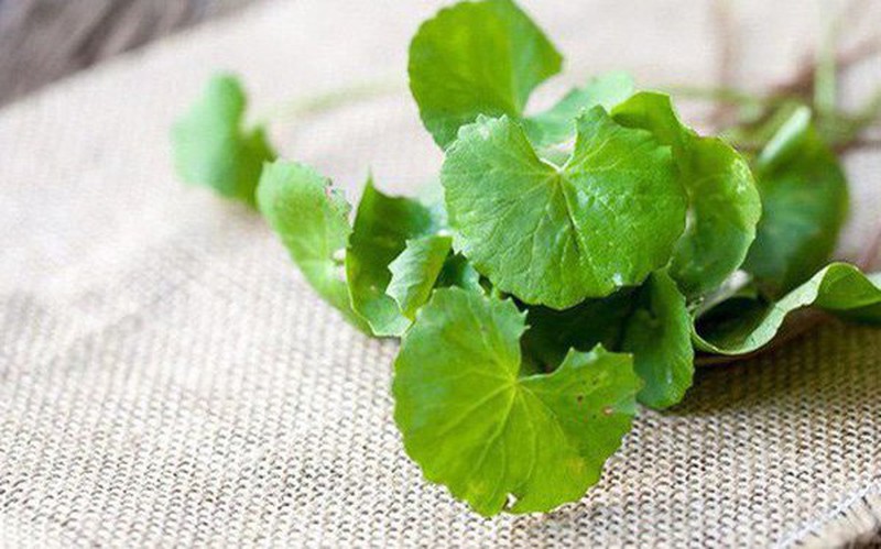 Mẹo chữa sẹo lồi dân gian với rau má 